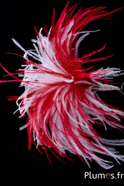 Plumet autruche avec anneau - ht 18-20 cm - rouge-blanc